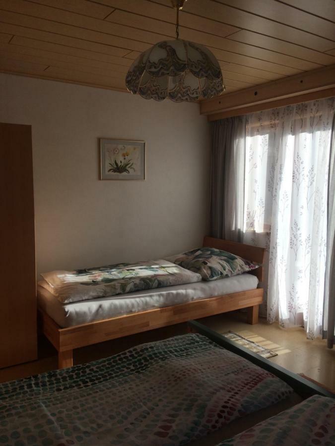 גוסאו Ferienwohnung Schmiedsipplbad מראה חיצוני תמונה